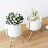 1 Set Modern Ceramic Iron Art Vases - Home Decoration for Coffeehouse Office Room Minimalism